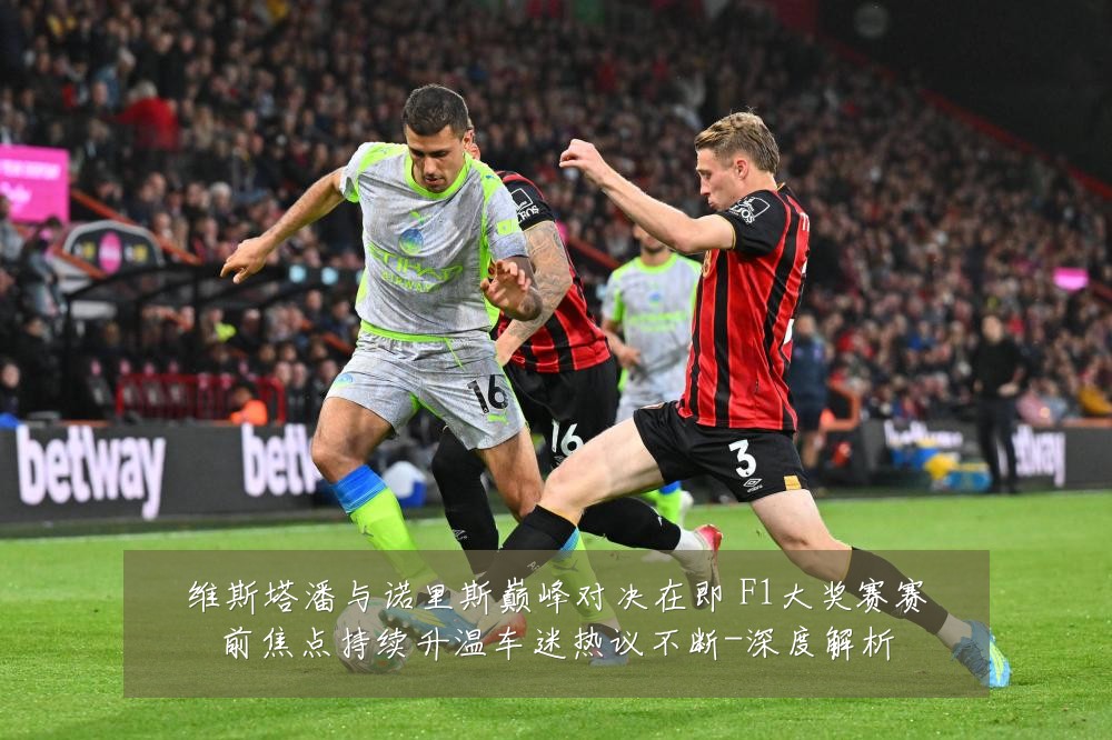 维斯塔潘与诺里斯巅峰对决在即 F1大奖赛赛前焦点持续升温车迷热议不断-深度解析
